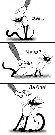 Виктория Дидух Vik-ki | Москва