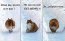 Фотография Грициной Оли