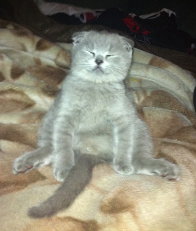 Женя Швед uDJin | Киев