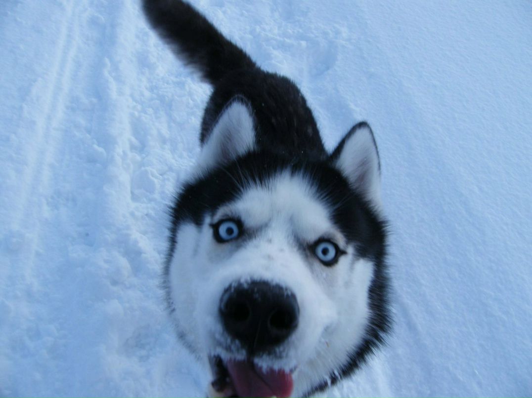 Никита Егошин | Апатиты