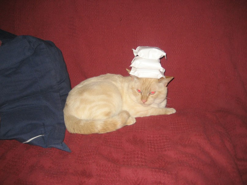 Ольга Егупова | l'Albir