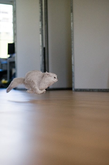 Марьяна Новикова | Высокое / Владимировка