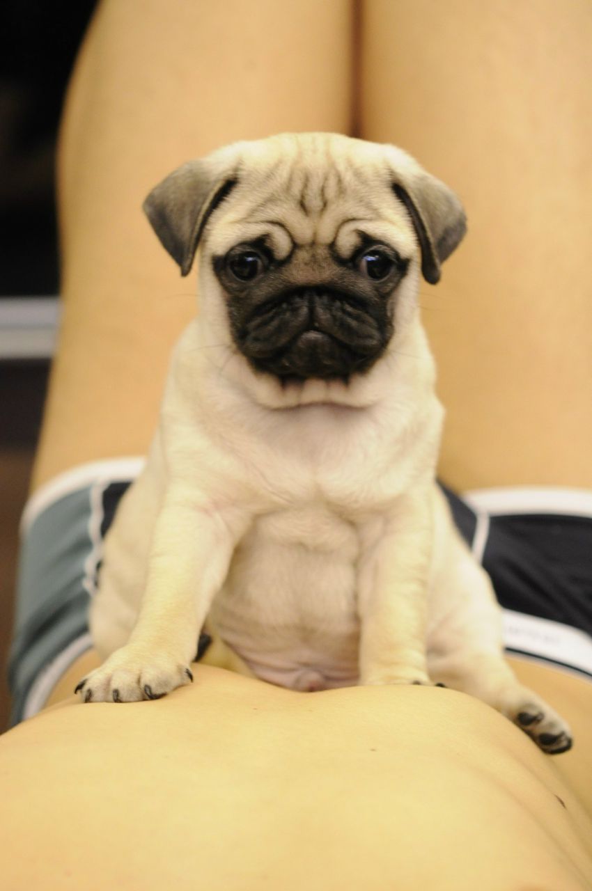 Мария Никифорова | Санкт-Петербург