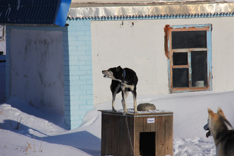 Олег Наконечный | Санкт-Петербург