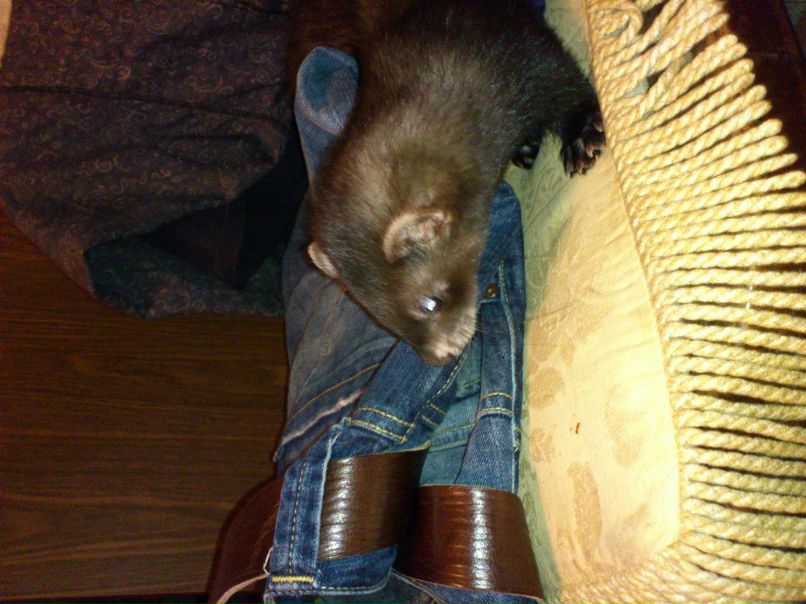 Алексей Таранов | Москва