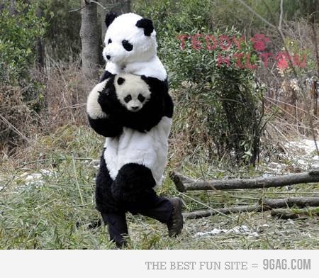 Дмитрий Грачёв Владимирович | Самара