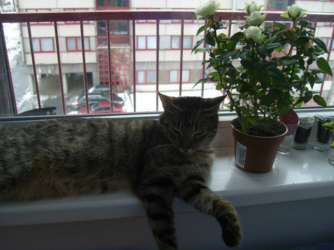 Ольчик Зарипова | Киев