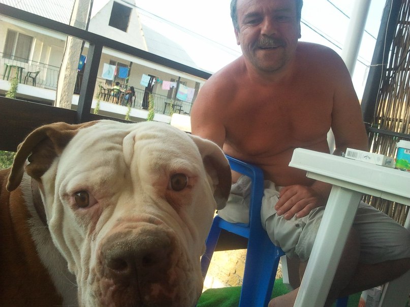 Вячеслав Дмитриев | Минск