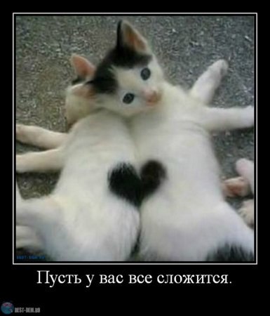 Александр Лаврухин | Санкт-Петербург