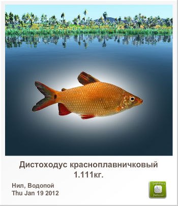 Светлана Поглазова | Санкт-Петербург