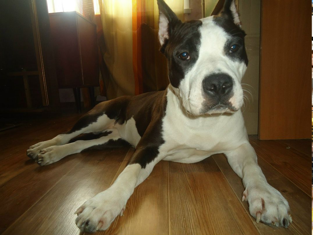 Юля Попова | Липецк