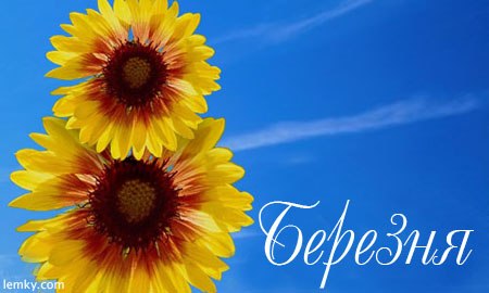 №138, Антон Осипчук, 38 лет, Львов №138, Антон Осипчук, 38 лет, Львов