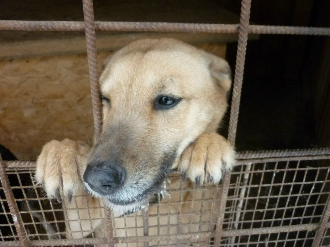 Анна Евгеньевна | 