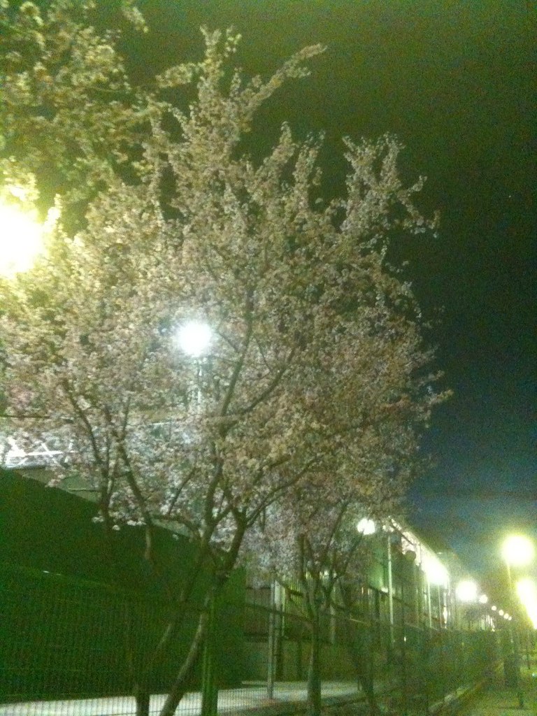 Юрий Савельчев (Розенгауз) אורי | Helsinki