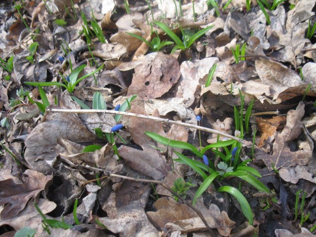 Наталия Хуртак | Санкт-Петербург