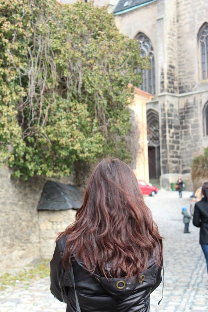 Даля Миндаль | Caracas