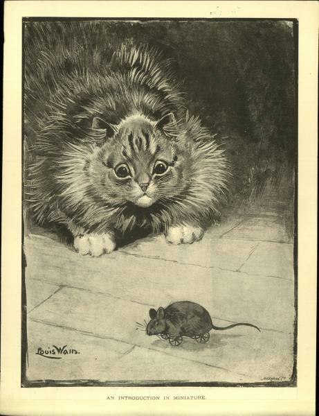 Вячеслав Железняков | 