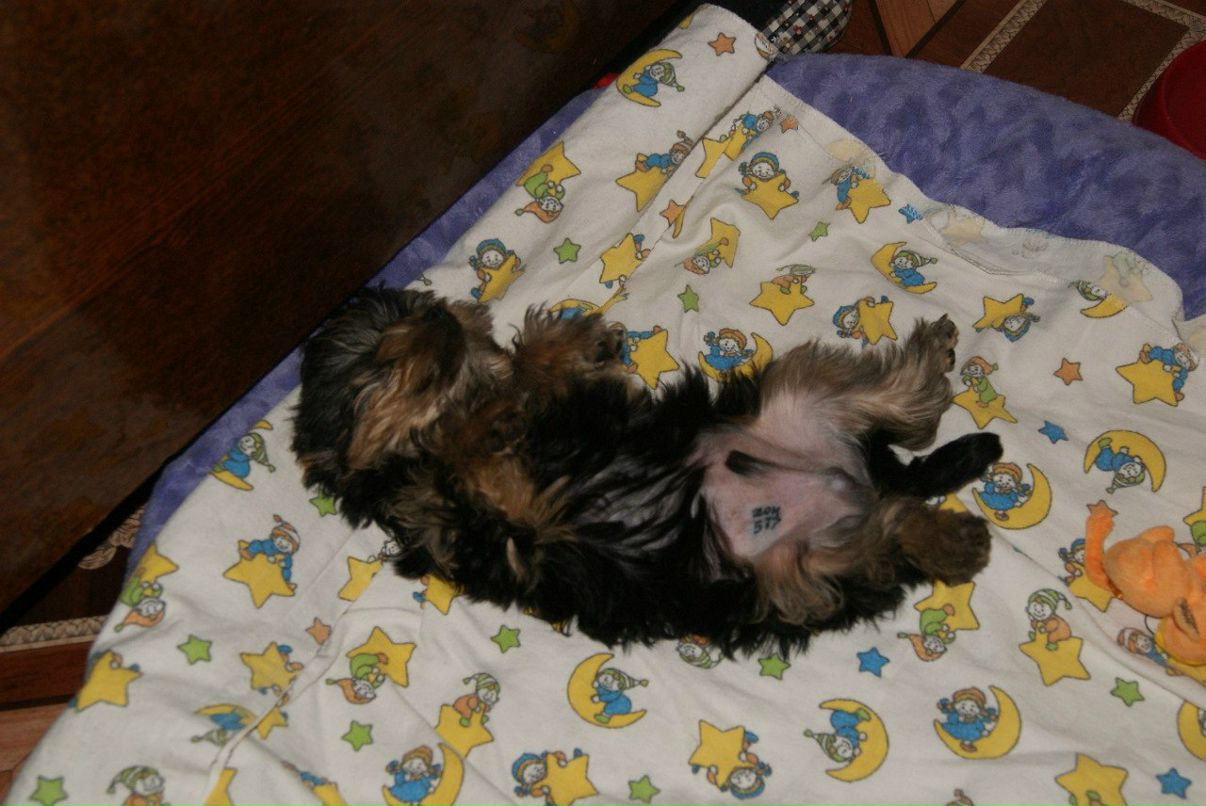 Евгения Рожкова | Самара