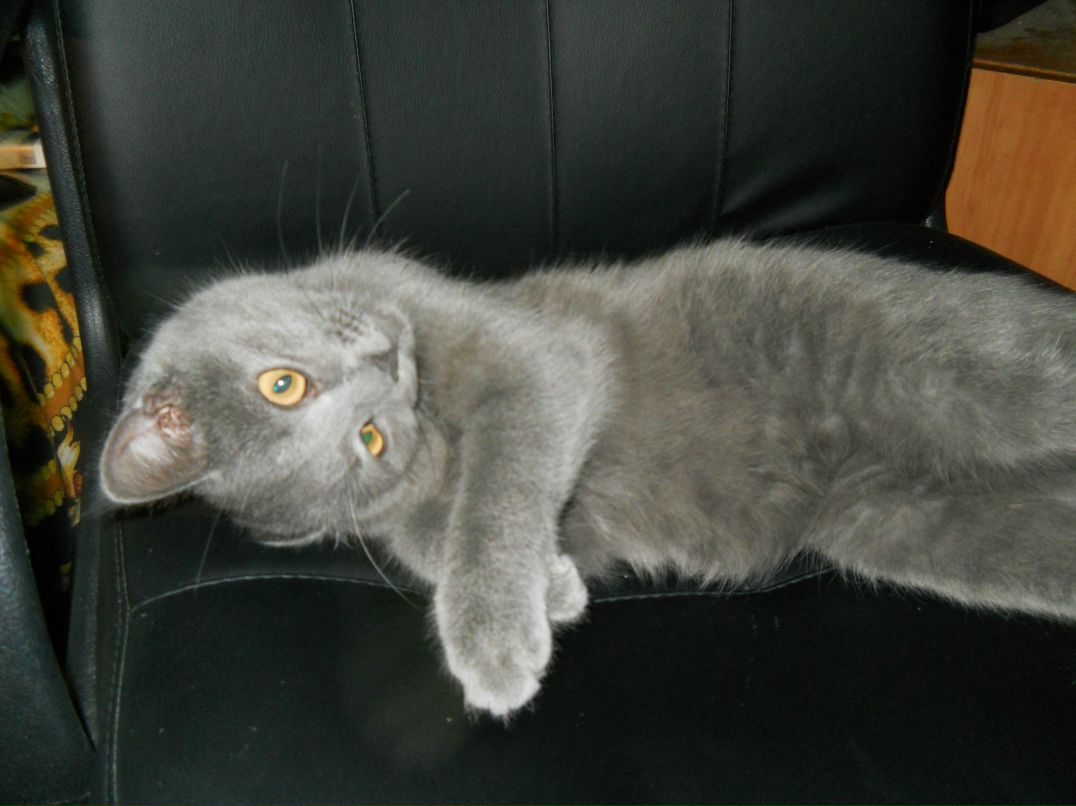 Владислав Васютин | 