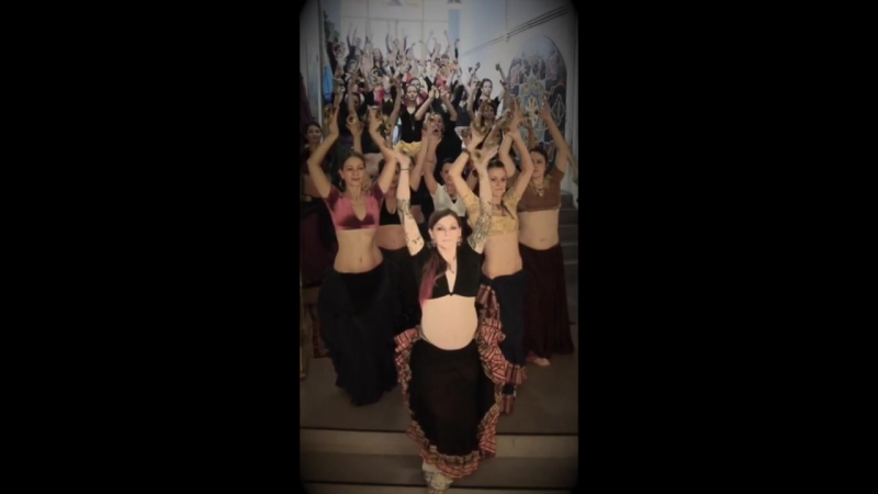 From the Belly of a Traveler year,