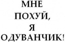 №4, Ян Литвин №4, Ян Литвин