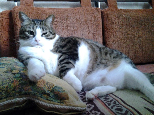 Наташа Аринина, Россия, Москва