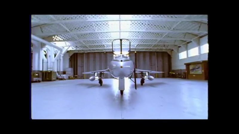 Fatboy Slim Sunset ( Bird of