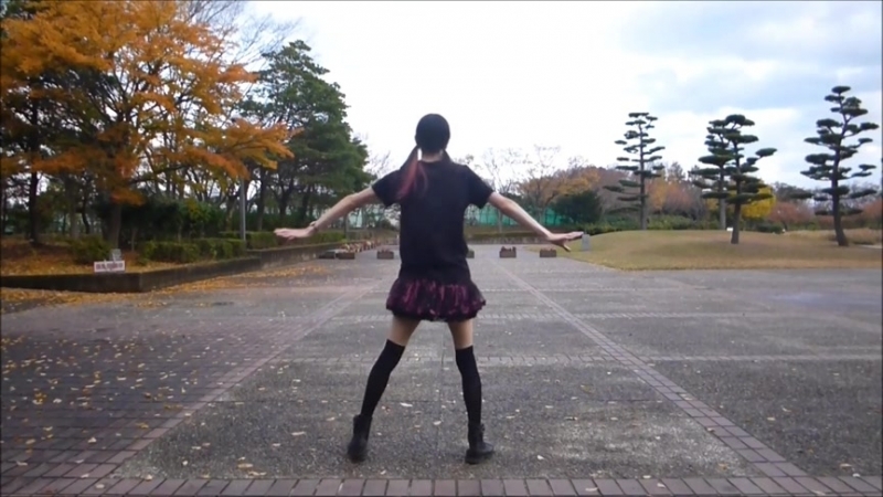 sm24912365 さねから lllトゥルティンアンテナlll