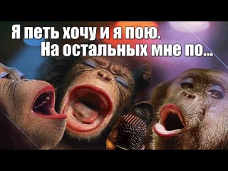 Днем рождения, картинки с хэппи бездей с обезьянами