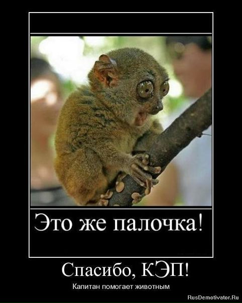 №10, Николай Гоголь, 30 лет, Бар №10, Николай Гоголь, 30 лет, Бар