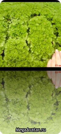 №6, Юля Зуева №6, Юля Зуева