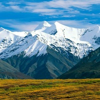 Дима Зайцев