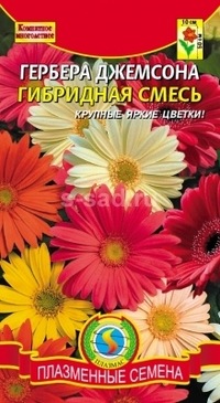 Татьяна Кашина