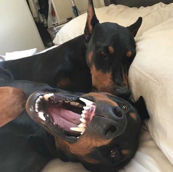 Максим Рохин, Россия, Лениногорск