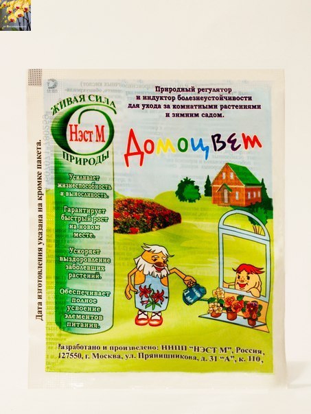 Нэст М Официальный Сайт Магазин