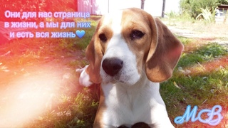 Однажды я услышала фразу...