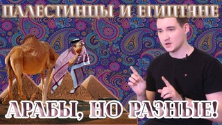 Кто такие арабы? FAQ #15