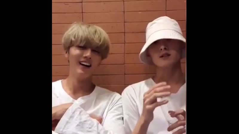 190820 bin vl 4