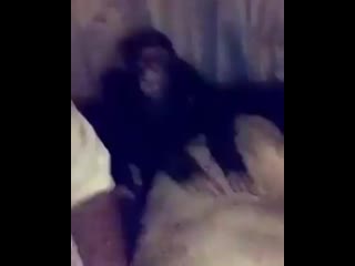 Video Video Incredible Viral On Instagram O Nə şapa 0 (mp4) Mp4 