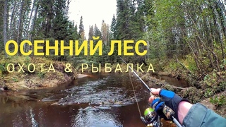 Прогулка по осенней тайге. Охота и рыбалка.