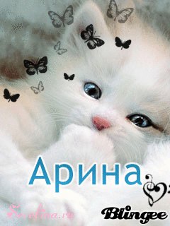что картинки с надписью ариша я тебя люблю мем
