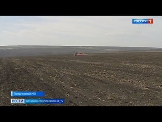 Будут ли в засушливых степях Ставрополья яблони цвести?