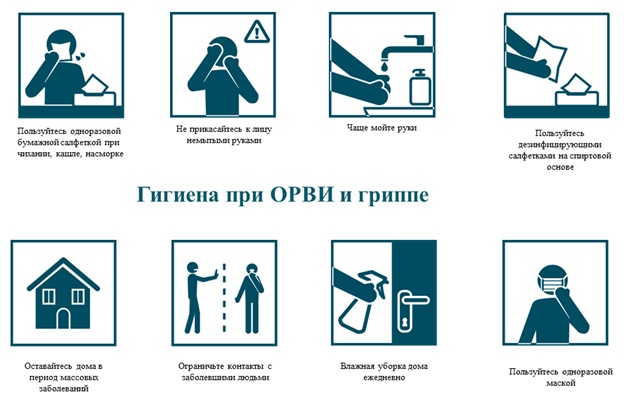 Гигиена при гриппе, коронавирусной инфекции и других ОРВИ, изображение №1