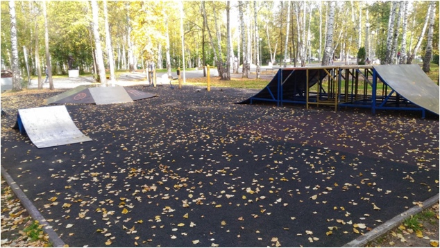 Результаты переписи экстремалов Пермского края., image #10