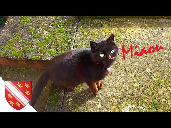 GERC Sexy Chat ( Clip Officiel techno + Making