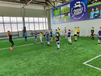 зенит логотип. дфк им данцева. зенит уфа детский футбольный клуб. зенит уфа детский. зенит лагерь санкт петербург.