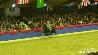 Oldenburger Hengst-Gala 2018: Glock’s Toto jr en Edward Gal