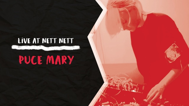 Puce Mary Live at Nett