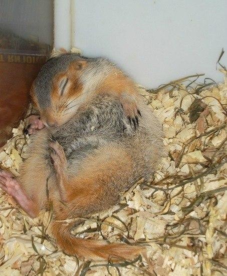 №59, Евгений Соха, 39 лет, Таганрог №59, Евгений Соха, 39 лет, Таганрог