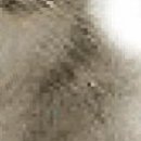 №31, Галина Павлова, Константиновка №31, Галина Павлова, Константиновка